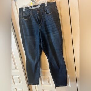 Judy Blue Dark Denim Plus